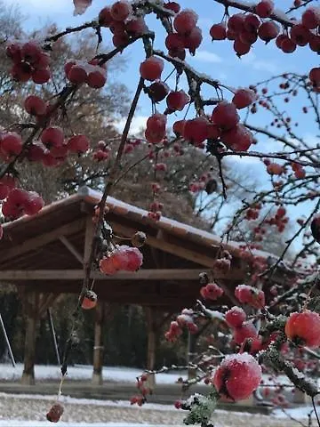 Les De La Font Casa de Férias *
